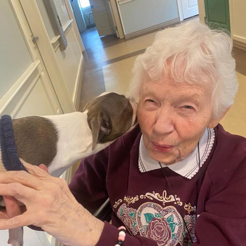 A senior resident with white hair smiles as she receives a loving lick on the cheek from a small puppy in a senior living community, capturing a joyful moment of affection.